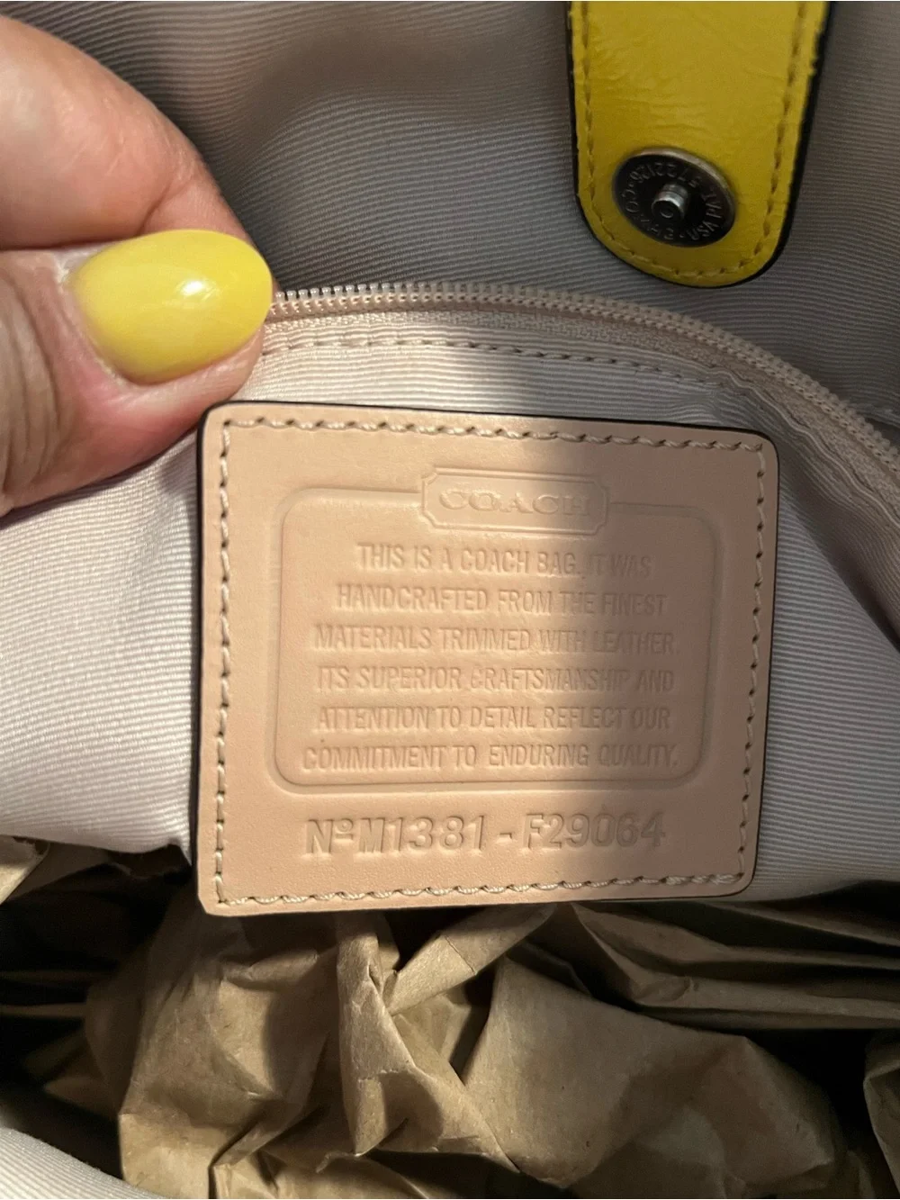 Coach Signature Stripe Drawstring Carryall Leather Shoulder Bag
